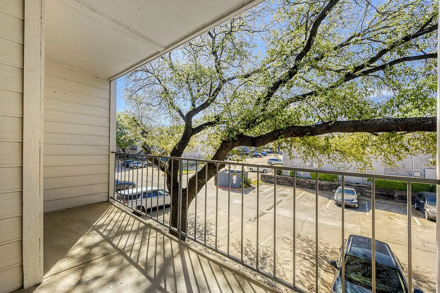Balcony, metal railing, large mature tree, dappled shade, parking lot view, Garland TX