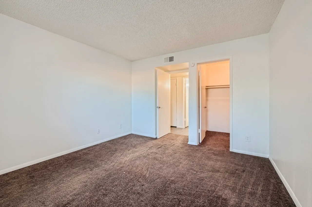 Empty bedroom with brown carpet, white walls and ceiling, two open white doors leading to closets and bathroom, and natural light from a doorway on the right side