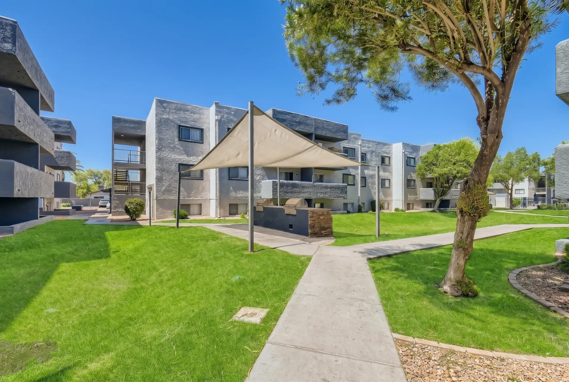 Modern apartment complex courtyard with green lawn, concrete walkway, shade sails, mature tree, and contemporary stone-and-tan residential buildings in Mesa