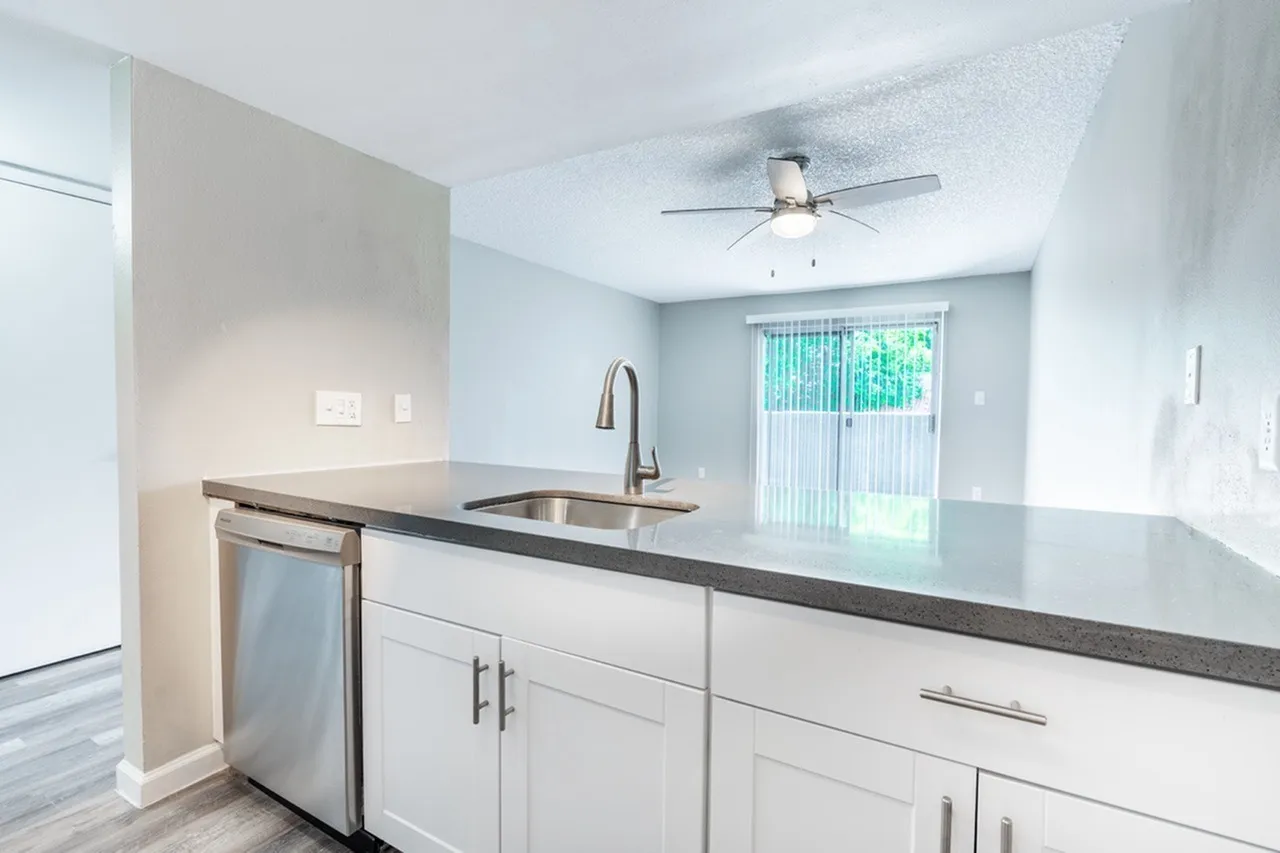 Kitchen view