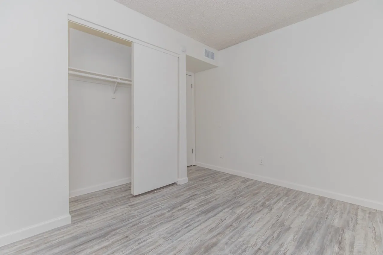 Bedroom, white painted walls, wood-style plank flooring, open walk-in closet with shelving