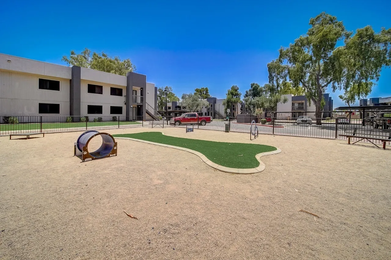 Dog park, artificial turf area, tunnel agility equipment, shade trees, residential buildings