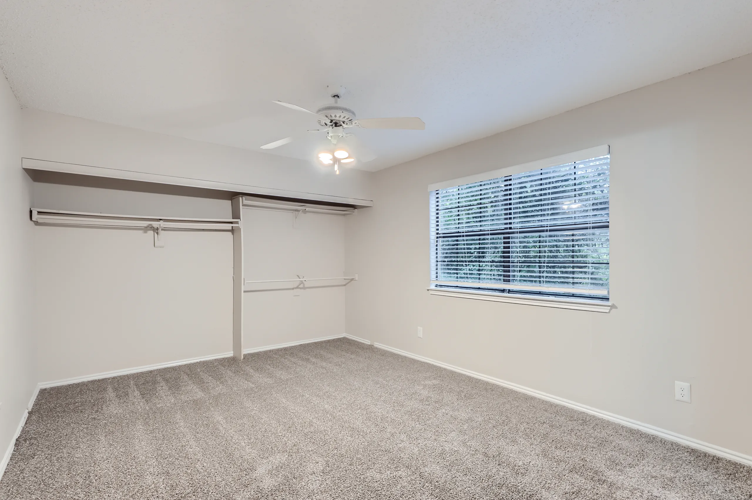 Primary bedroom with plush carpet and spacious closet