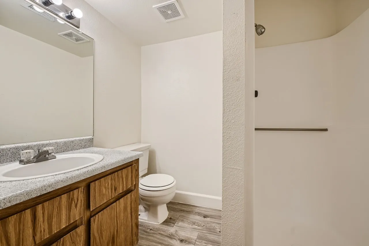 Bathroom, wood cabinetry vanity, quartz countertops, wood-style plank flooring, mirror with lighting