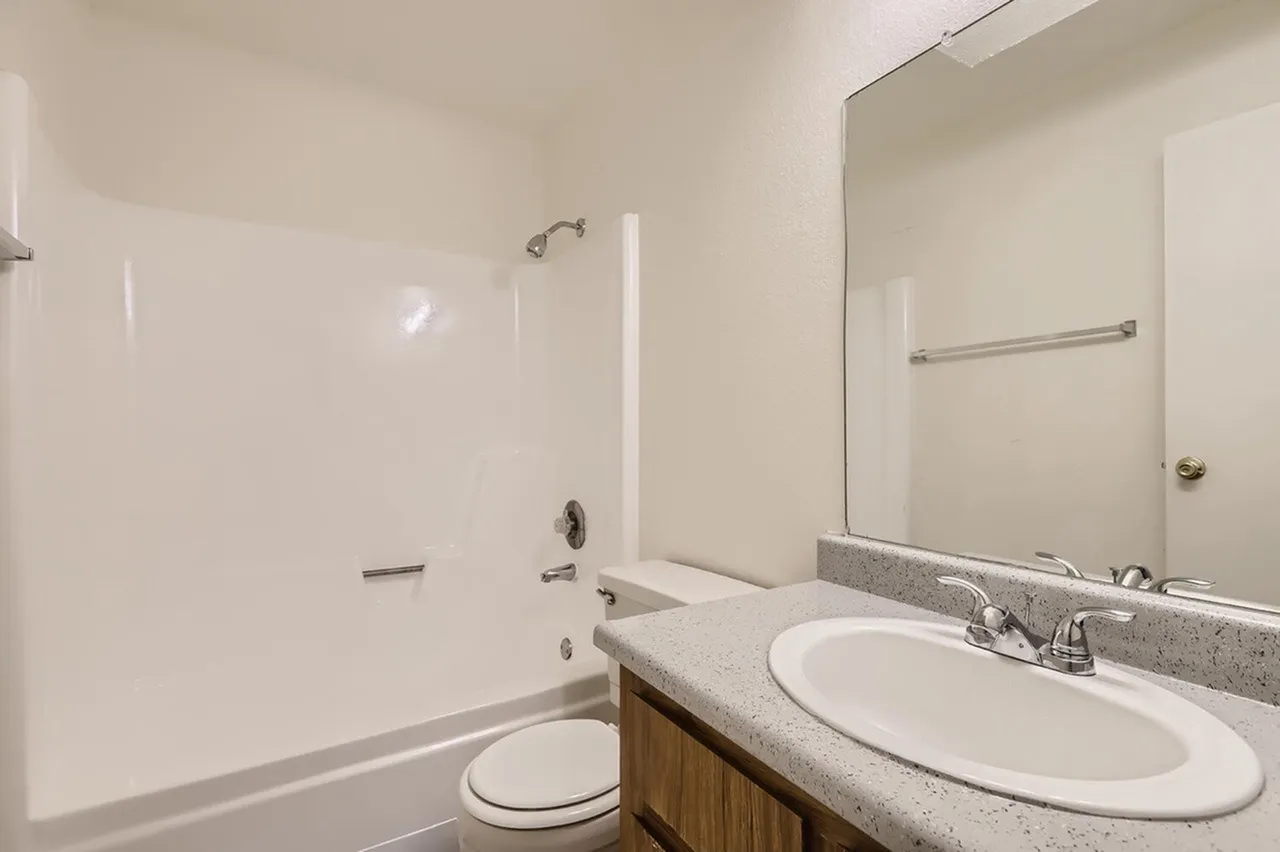 Bathroom, gray countertops, round white sink, large mirror, toilet