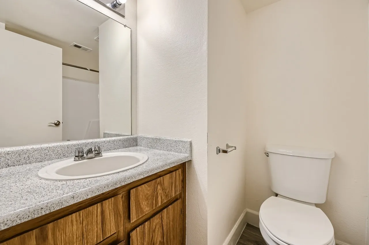 Bathroom, speckled gray countertops, wood vanity cabinetry, oval sink, toilet