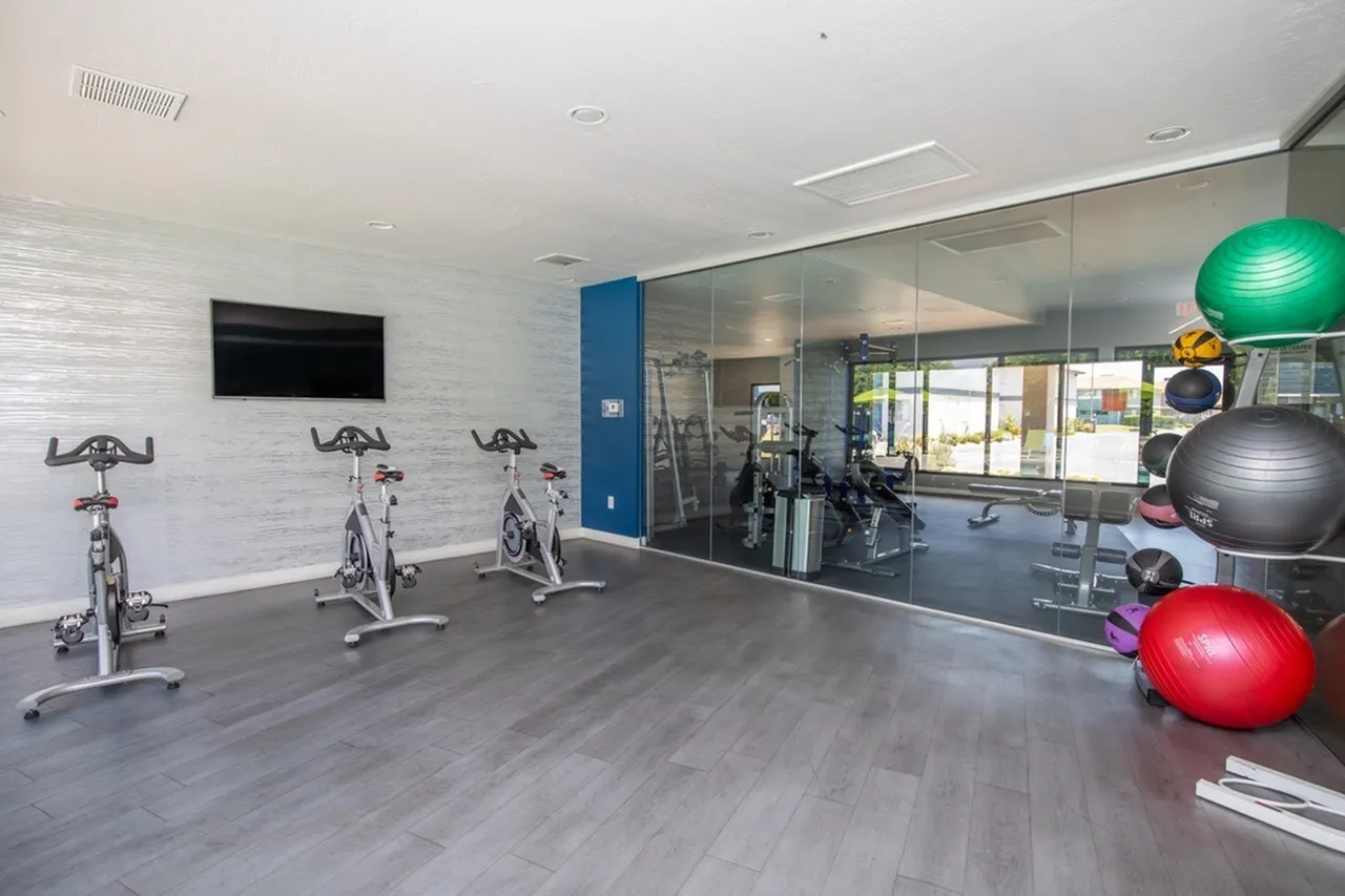 Fitness center, stationary bikes, exercise balls, wood-style plank flooring