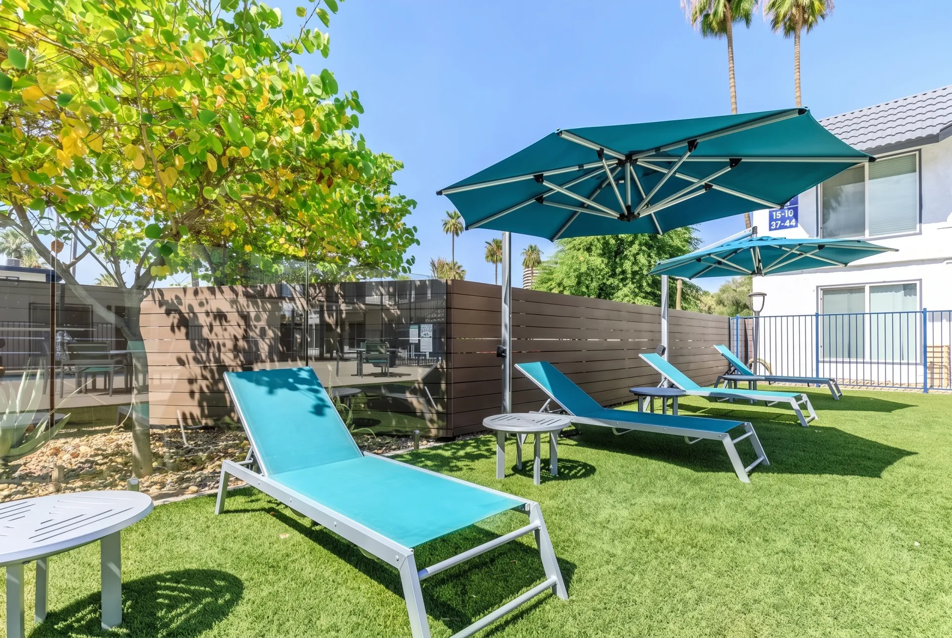 Outdoor courtyard, blue lounge chairs, cantilever umbrellas, turf lawn, mature trees