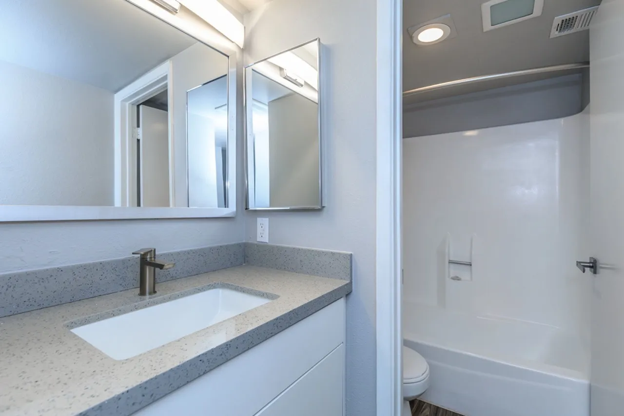 Primary bathroom, white vanity, gray quartz countertop, medicine cabinet mirror, walk-in shower