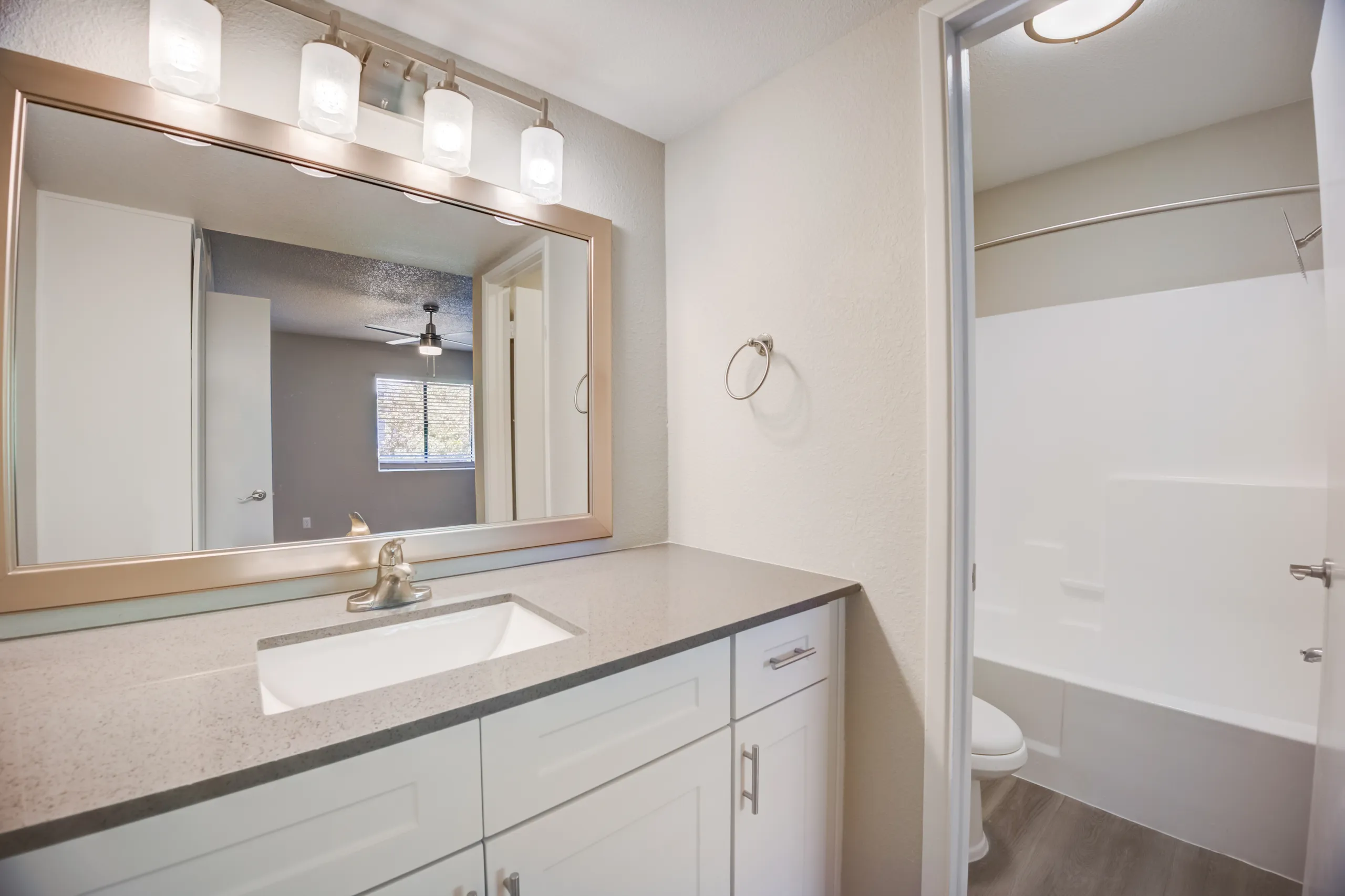 Primary bathroom vanity with view into shower and toilet area