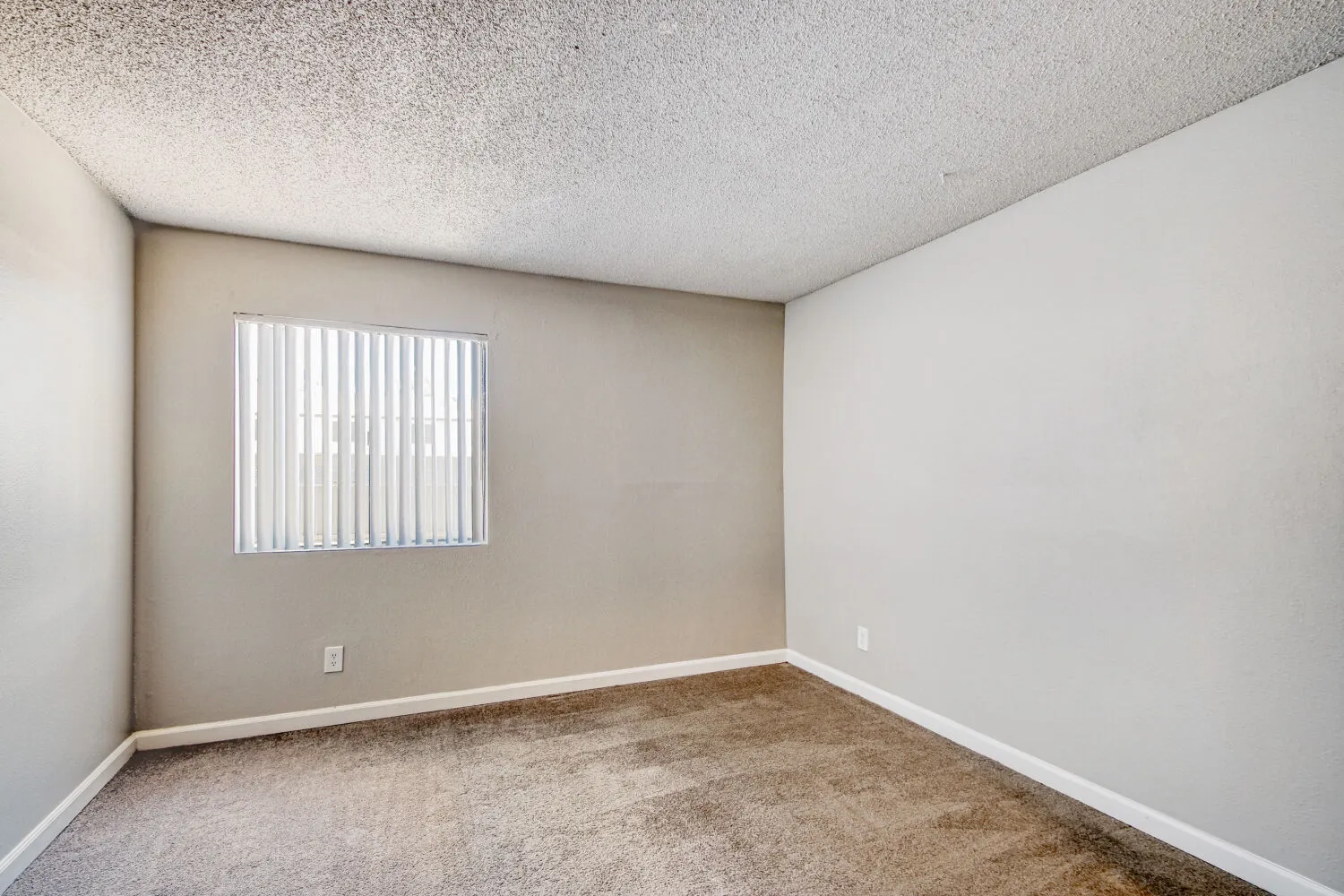Primary bedroom with carpet flooring and window