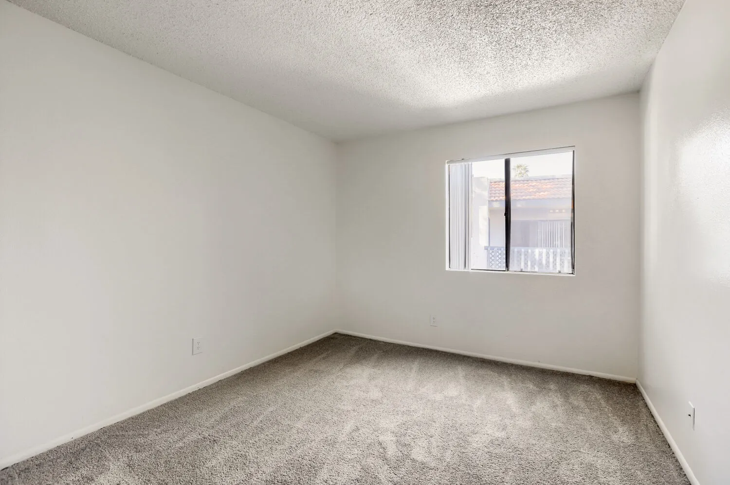 Primary bedroom with carpet flooring and window
