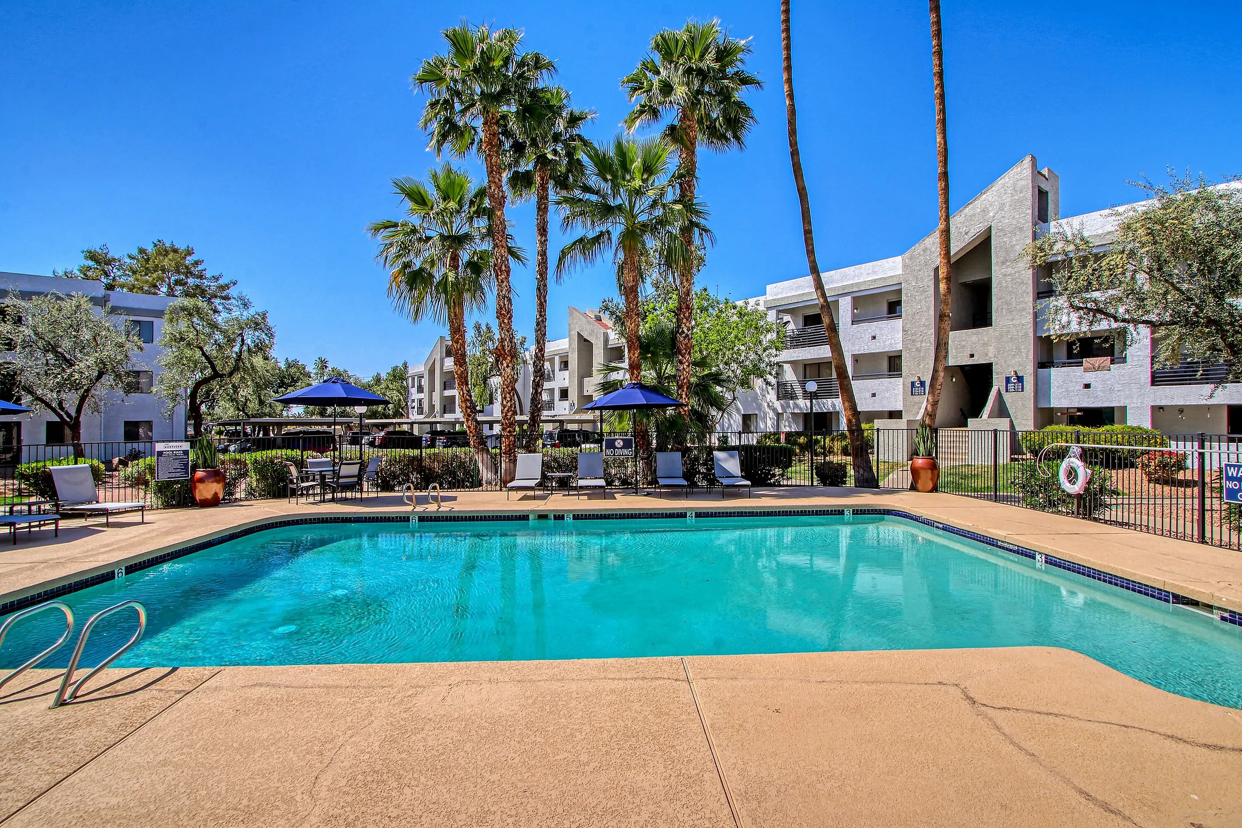 Resort-style swimming pool, palm trees, blue umbrellas, fenced deck area, multi-story apartment buildings
