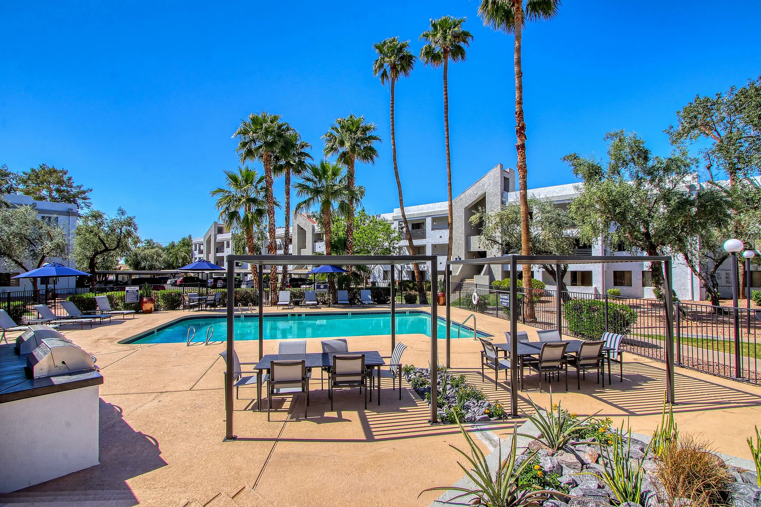 Pool courtyard, lounge seating, palm trees, clear blue sky, modern building