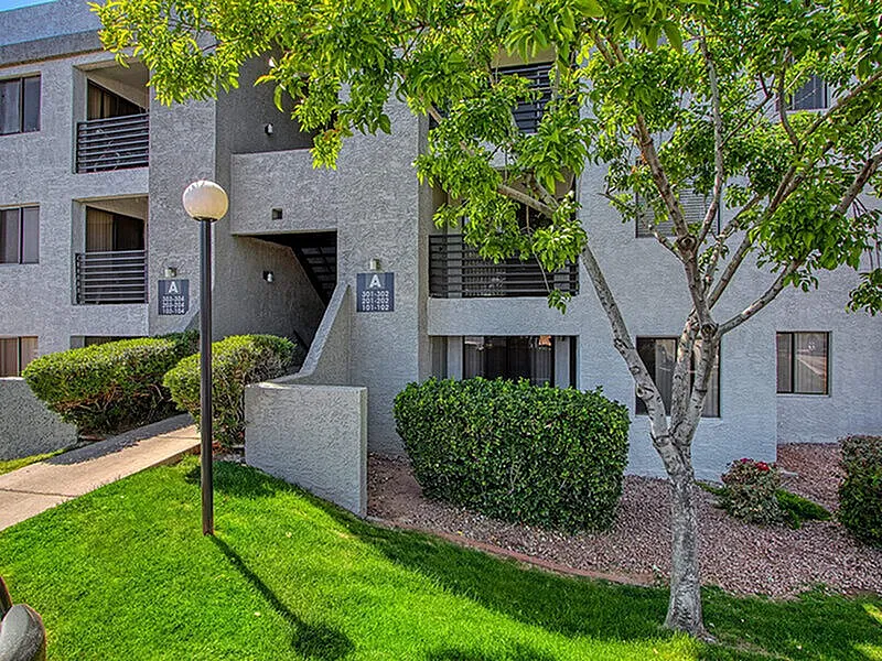 Modern apartment building, manicured landscaping, concrete walkway, mature shade tree