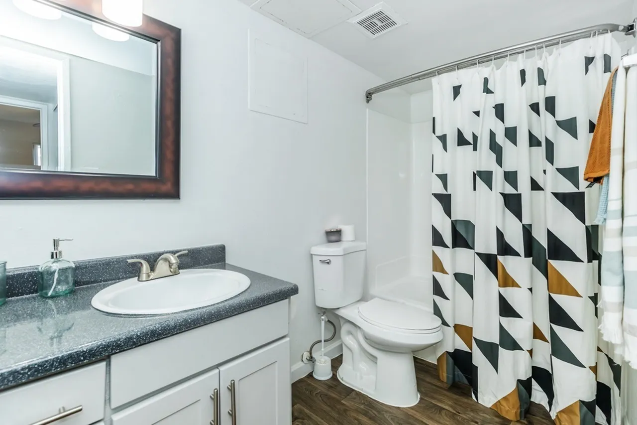 Bathroom, white vanity cabinetry, granite countertop, geometric patterned shower curtain, wood-style plank flooring