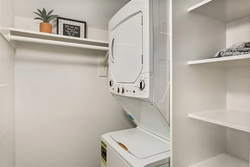 Laundry room, stacked washer dryer combo, white shelving, potted plant, framed wall decor