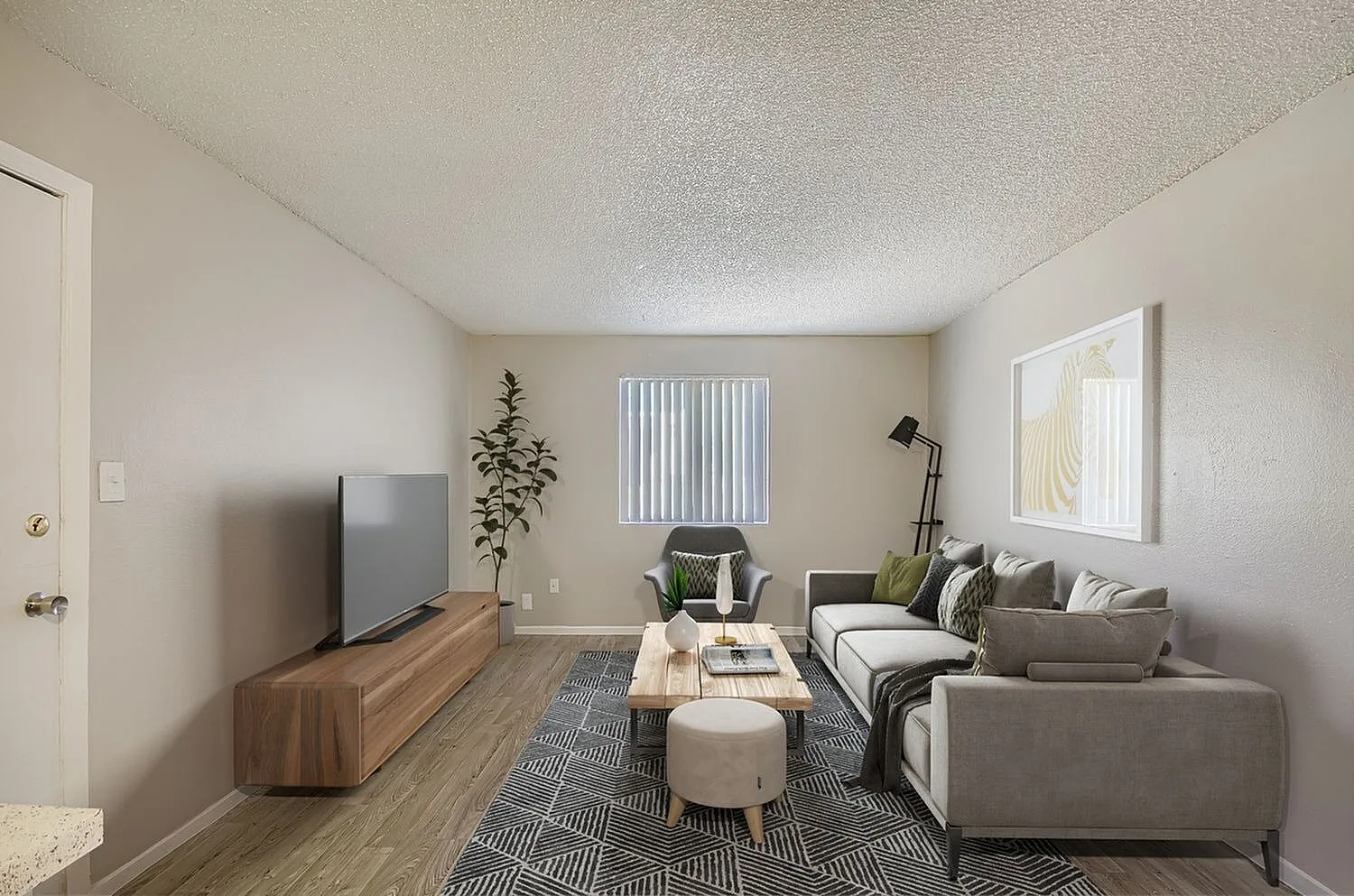 Living room with wood-style plank flooring, gray upholstered seating, geometric area rug