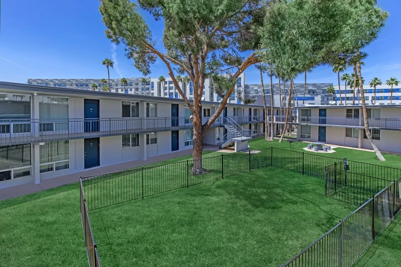 Courtyard with green lawn, mature tree, fenced areas, multi-story apartment buildings, Tempe