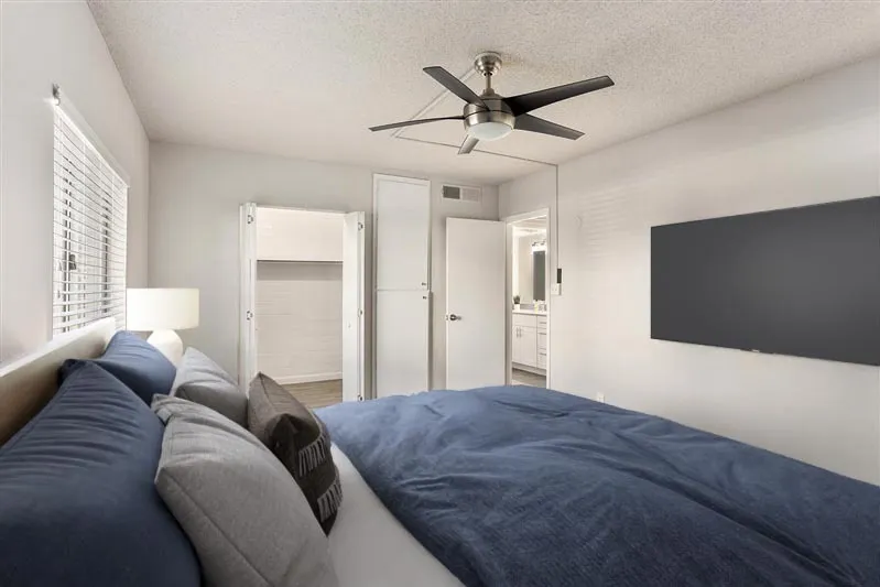 Primary bedroom, blue bedding, ceiling fan, TV wall mount, white doors