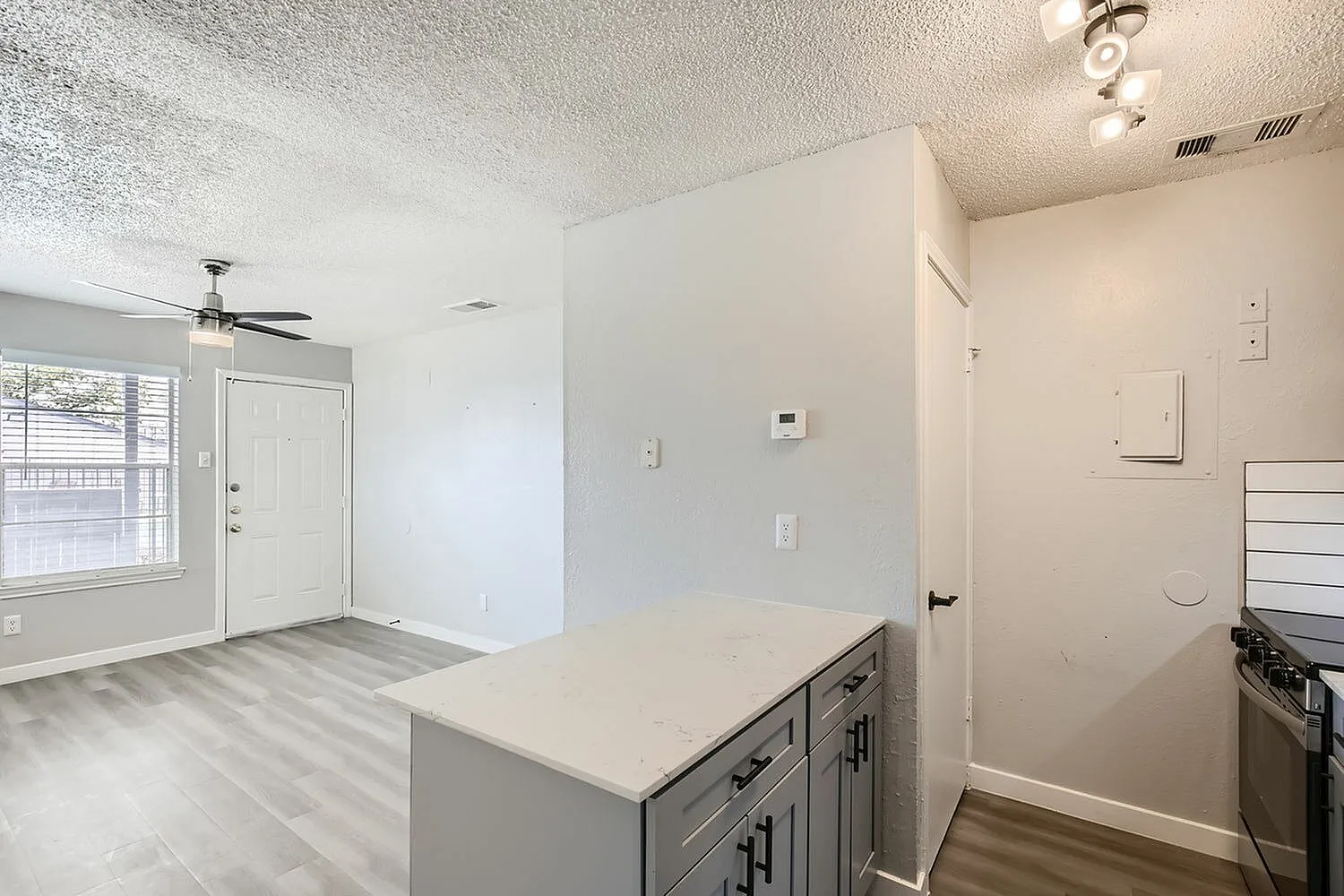 Kitchen, gray cabinetry, quartz countertops, stainless appliances, wood-style plank flooring