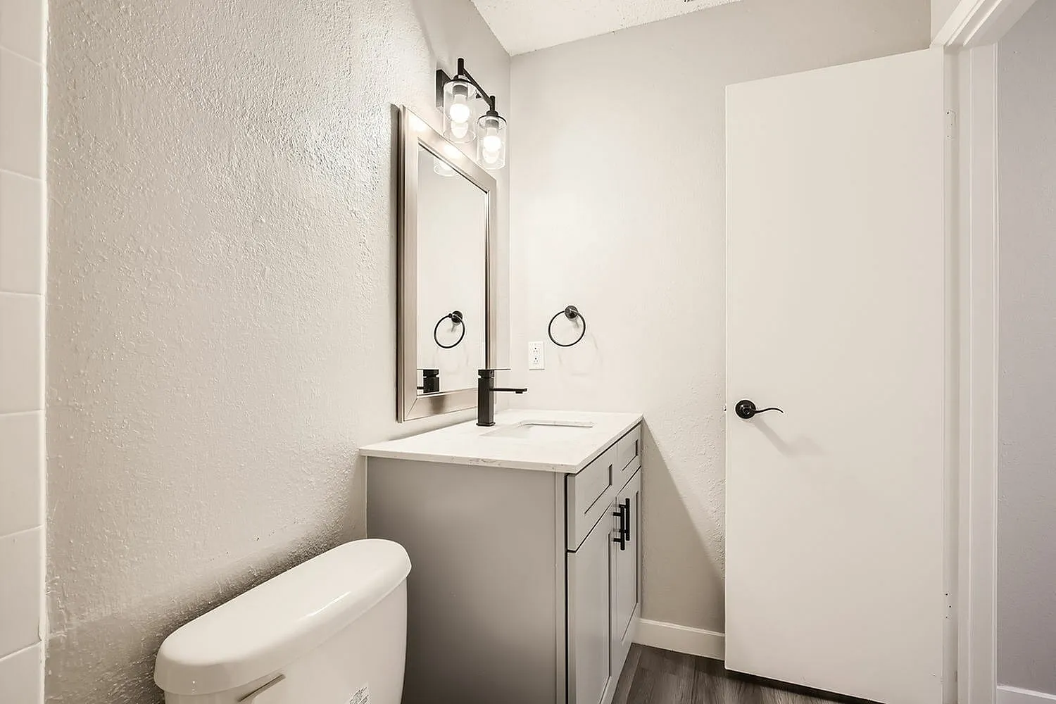 Bathroom, white vanity with dark hardware, mirror with light fixture, toilet, wood-style plank flooring