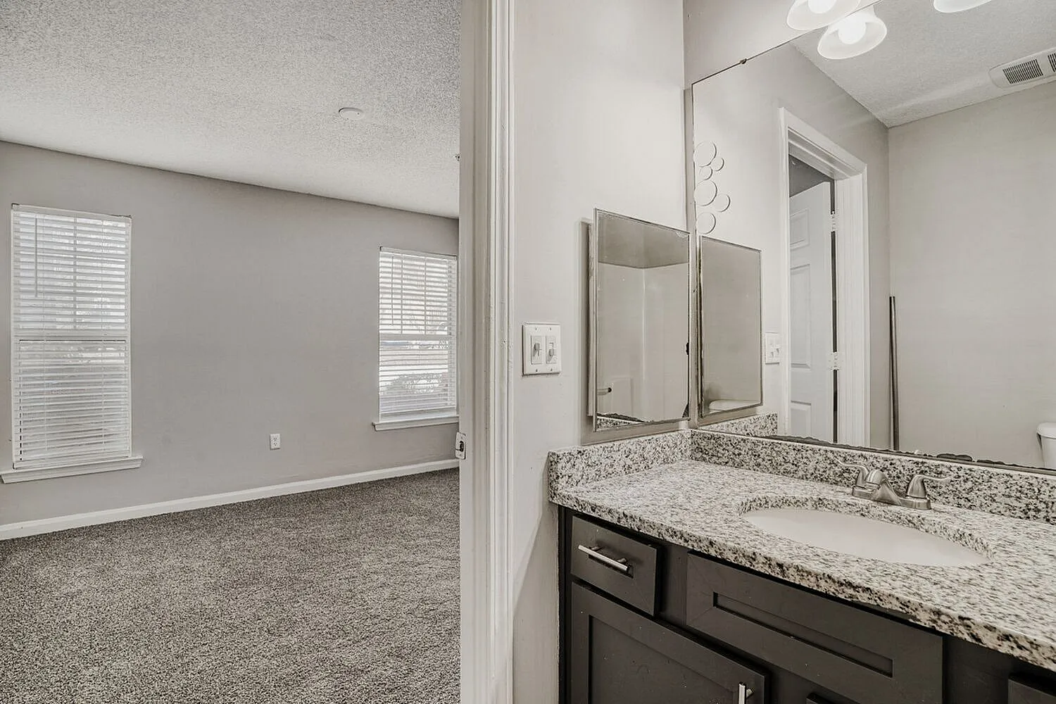 Primary bathroom, speckled quartz countertops, dark cabinetry, dual mirrors, recessed lighting