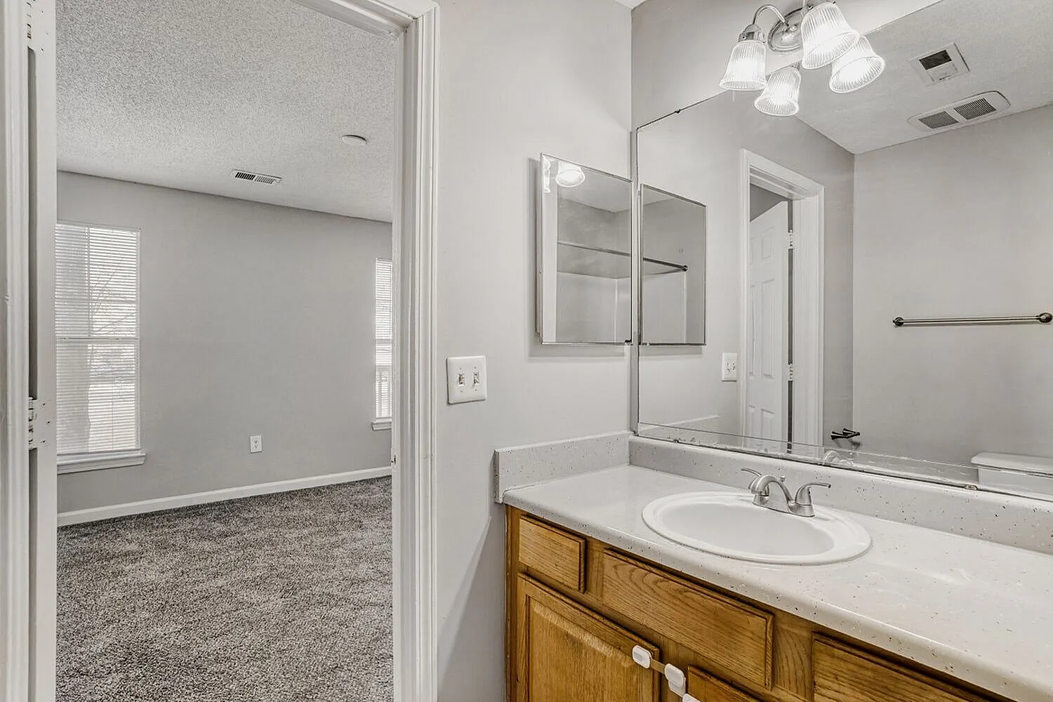 Primary bathroom, wood vanity, white oval sink, mirror with storage, pendant lighting