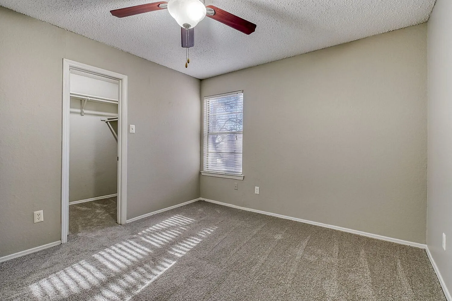 Primary bedroom, gray carpet, burgundy ceiling fan, window with blinds, walk-in closet