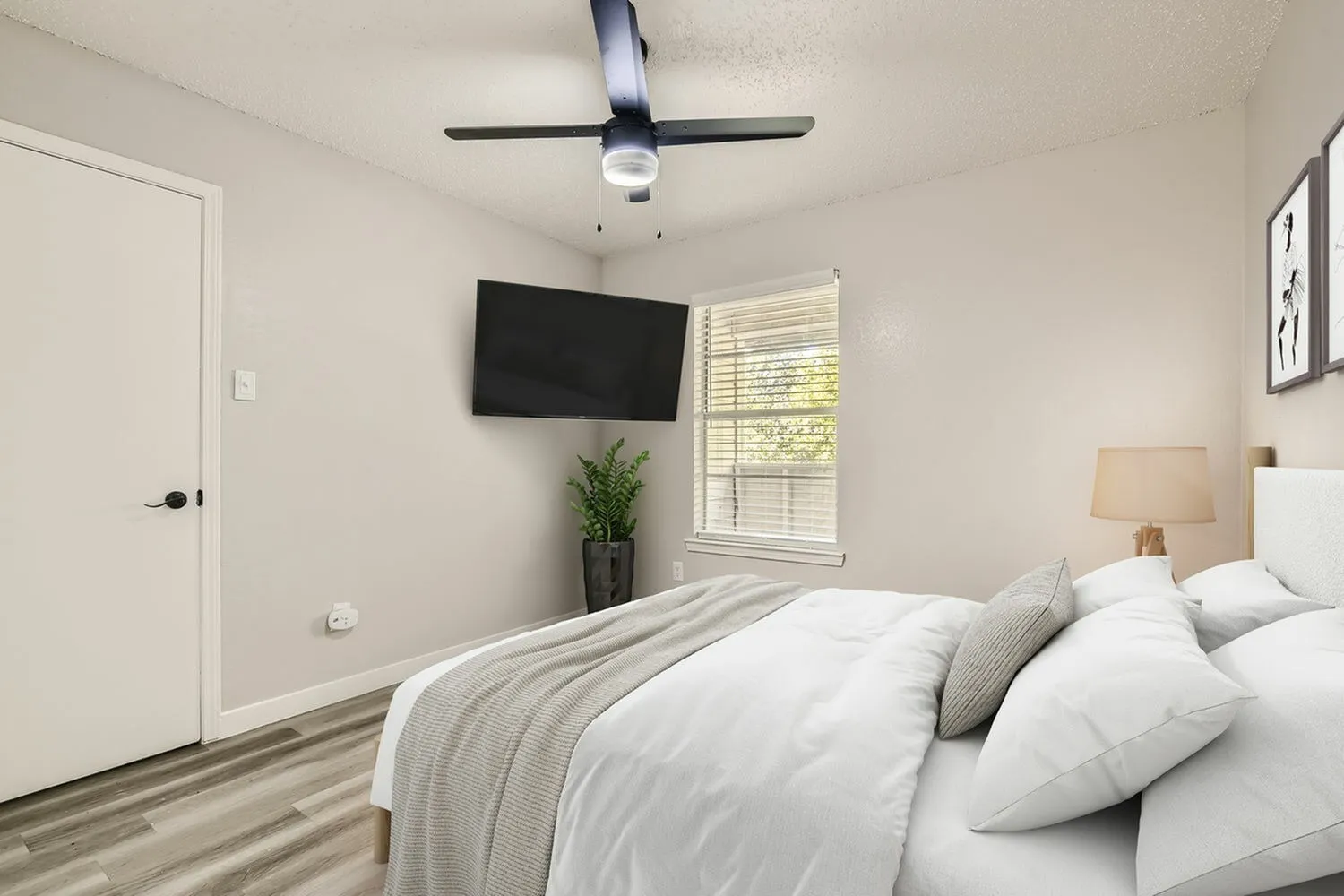 Primary bedroom, wood-style plank flooring, ceiling fan, wall-mounted TV, window with blinds