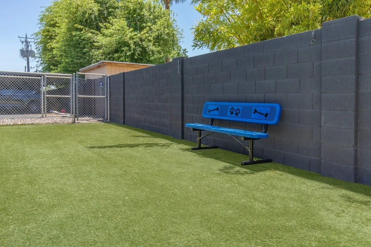 Sports court, black privacy fence, blue bench seating, artificial turf, mature trees