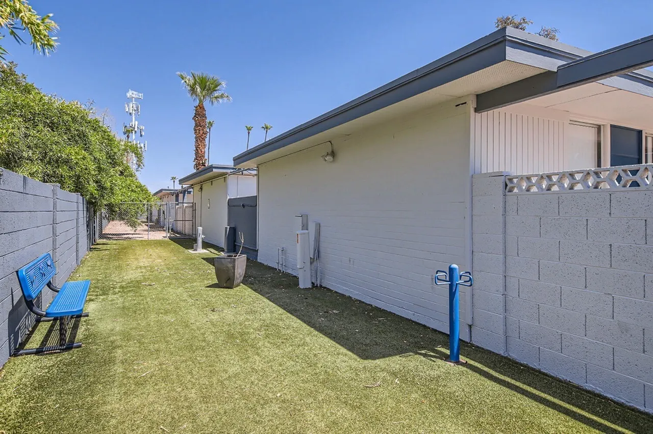 Backyard with lawn, white residential units, concrete patios, decorative fence, palm trees, Phoenix