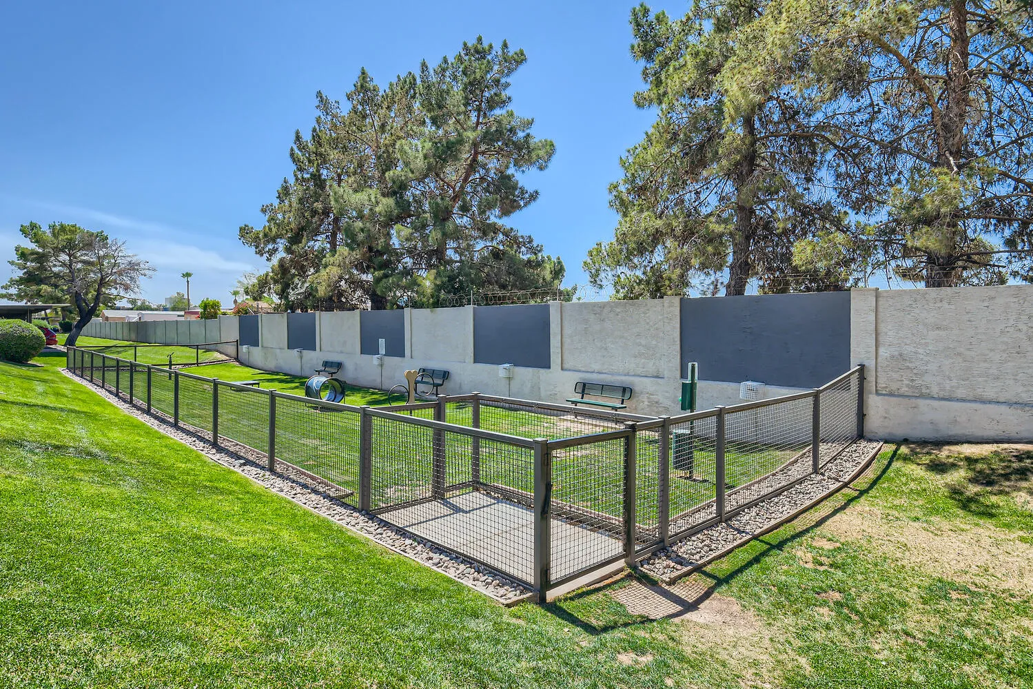 Fenced off-leash pet park with agility equipment