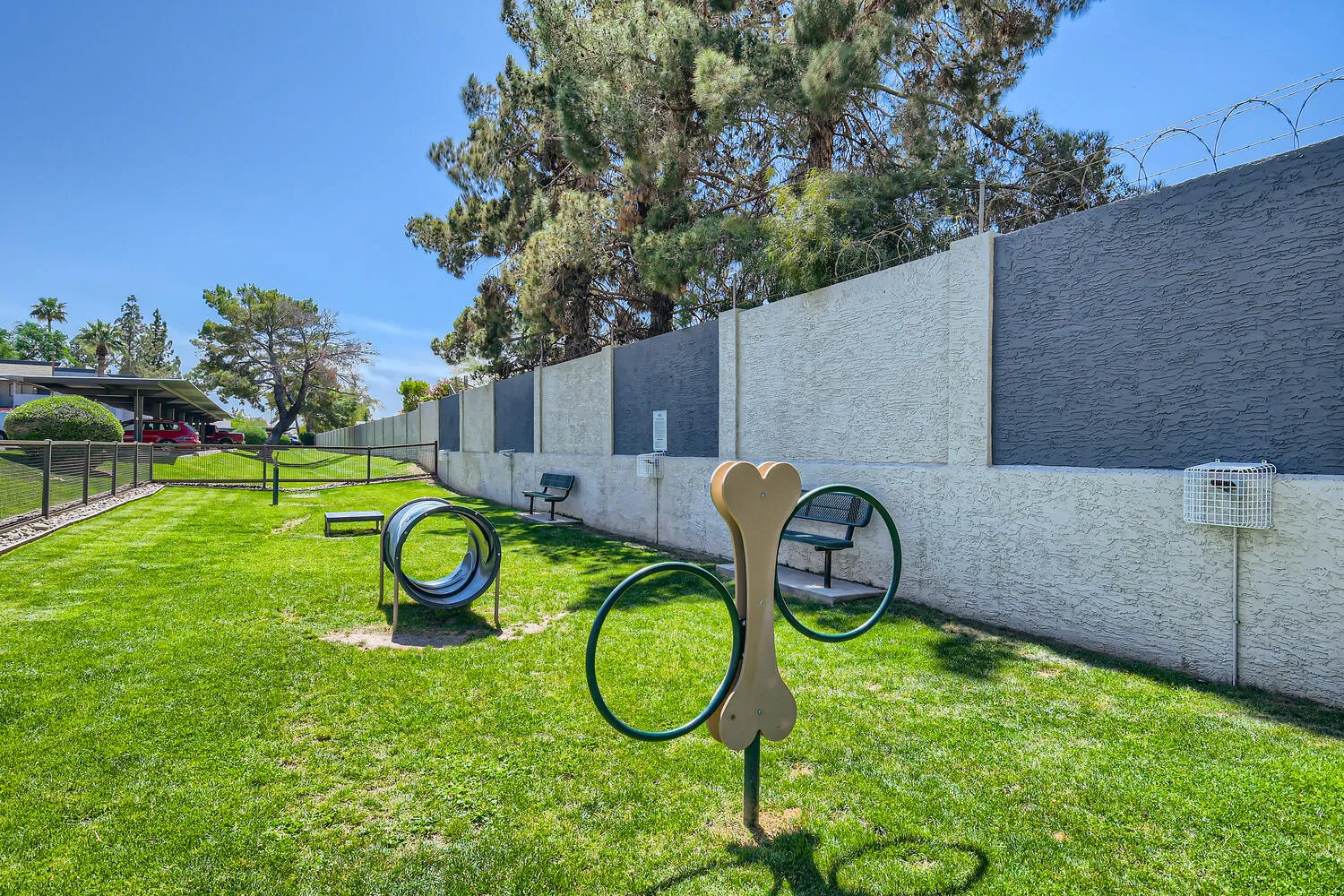 Pet park with tunnel and agility play equipment on green lawn