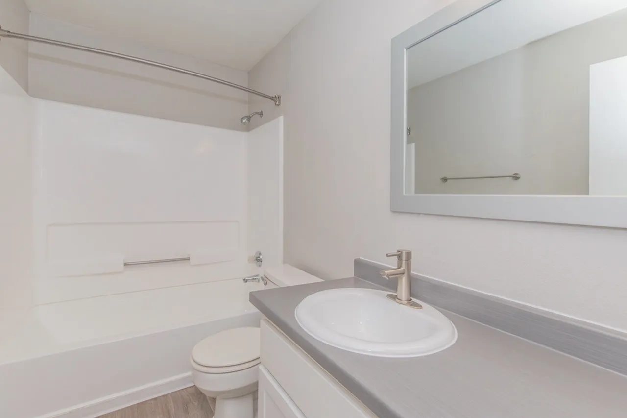 Gray vanity, framed mirror, and tub-shower combo