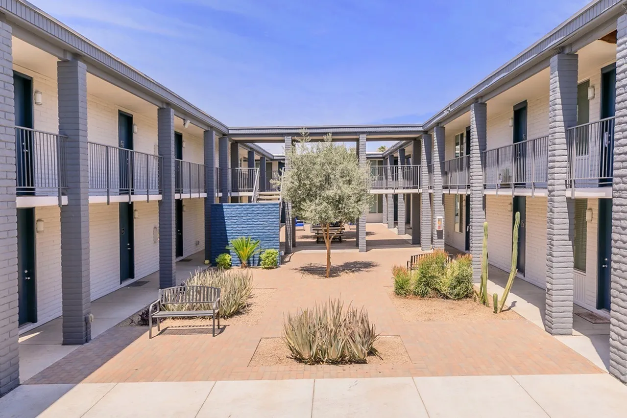 Courtyard with central olive tree, brick pavers, landscaping, modern residential building