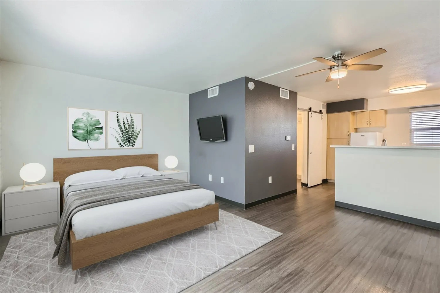 Studio bedroom, wood-style plank flooring, wood bed frame, gray accent wall with mounted TV, ceiling fan, kitchenette with white cabinetry