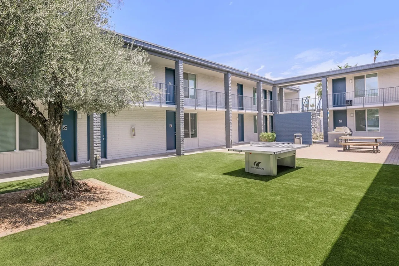 Courtyard with green lawn, mature olive tree, modern residential buildings, covered patio area