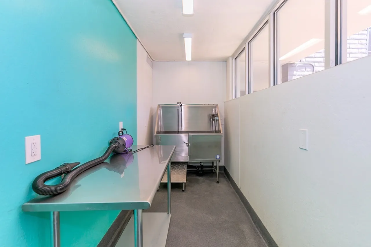 Laundry room, turquoise accent wall, utility sink, dark tile flooring, built-in shelving
