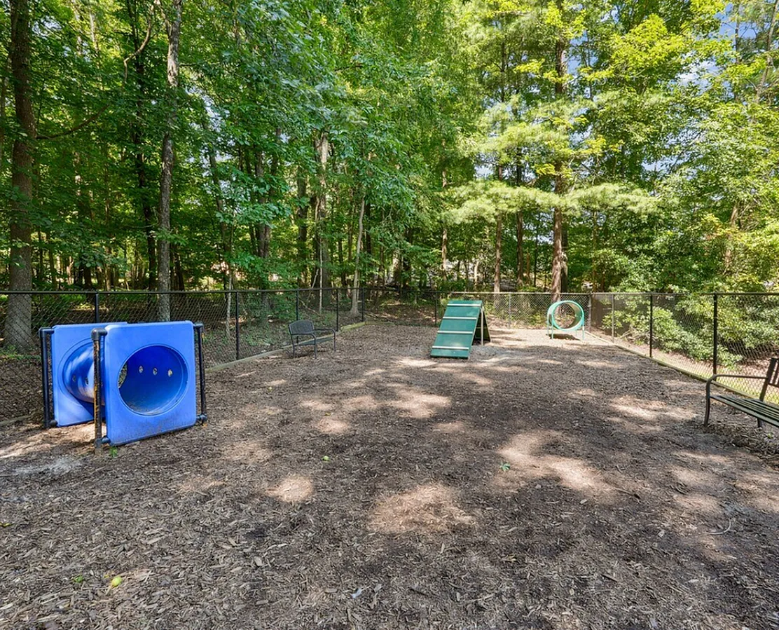 Dog park, blue tunnel obstacle, green agility equipment, wooded backdrop