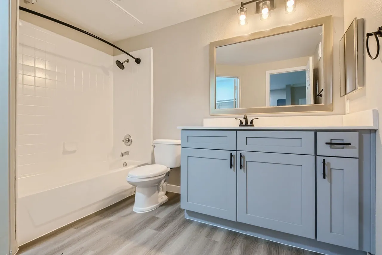Primary bathroom, blue cabinetry, framed mirror, wood-style plank flooring