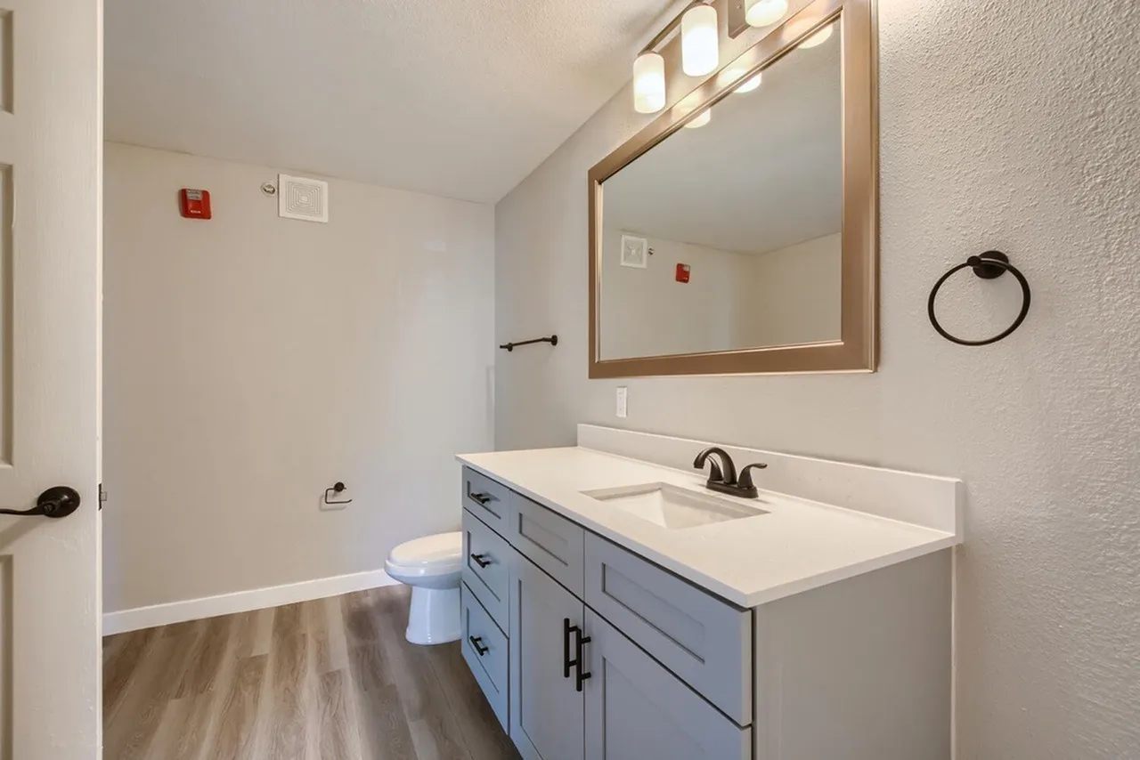Primary bathroom, wood-style vanity, white quartz countertops, framed mirror, wood-style plank flooring