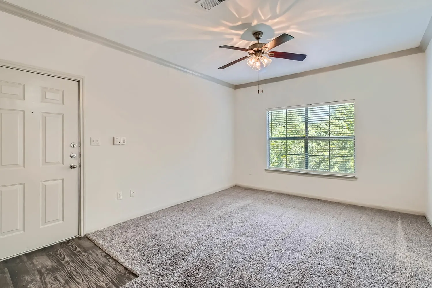Bedroom, wood-style plank flooring, ceiling fan with light fixture, large window with shutters