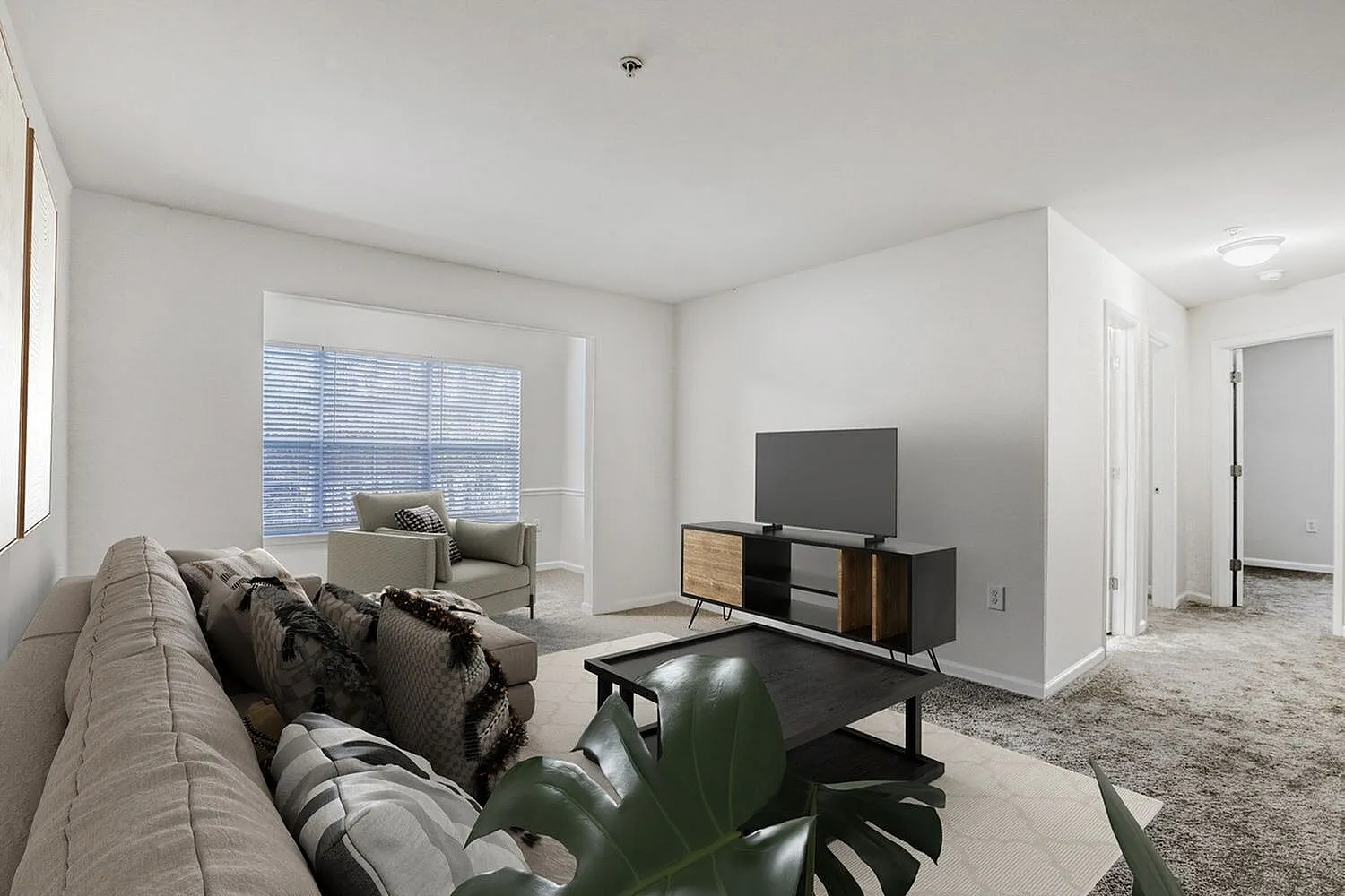 Living room, wood-style plank flooring, gray sofa, flat-screen TV, potted plant