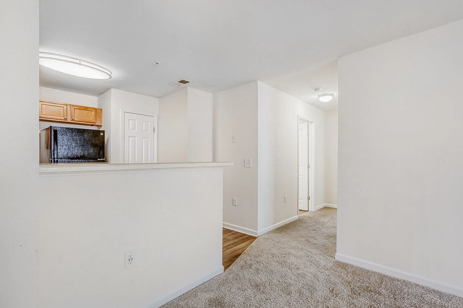 Living area, wood-style plank flooring, beige carpet, white walls, kitchen pass-through