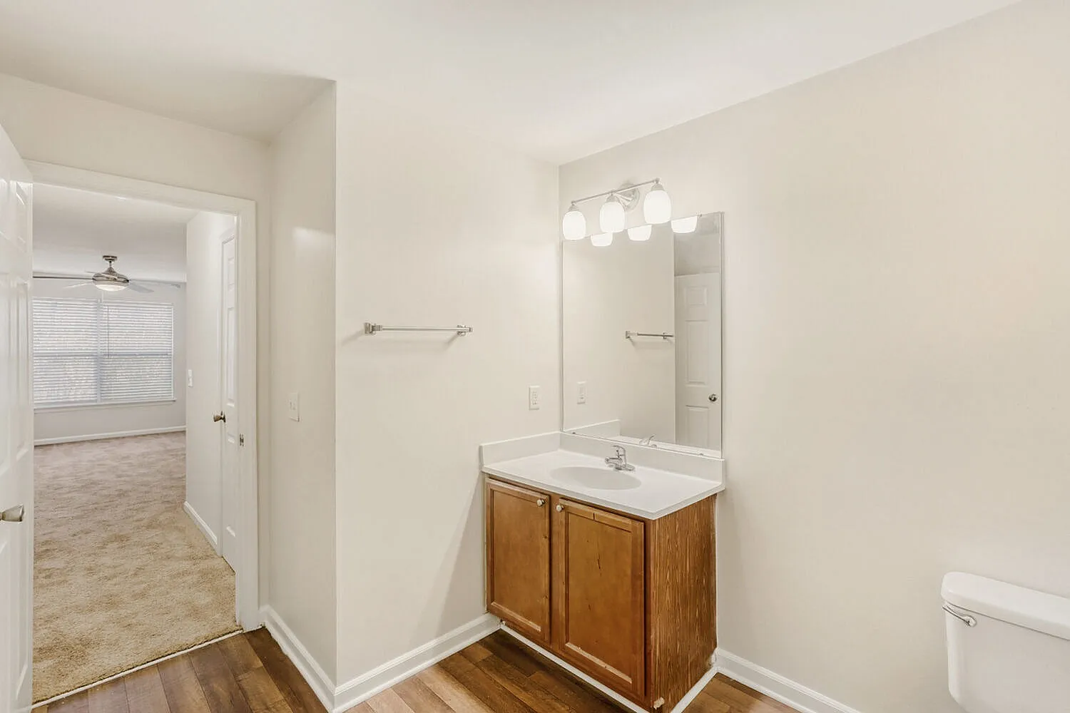 Bathroom, wood-style vanity cabinet, white countertop, mirror with lighting, wood-style plank flooring
