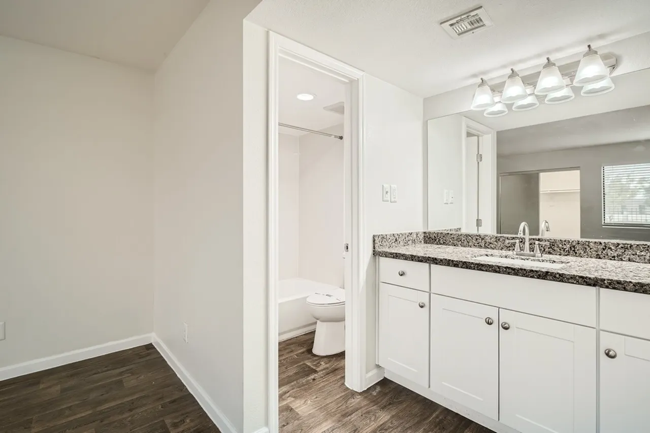 Primary bathroom, white cabinetry, granite countertops, wood-style plank flooring, vanity mirror with lighting