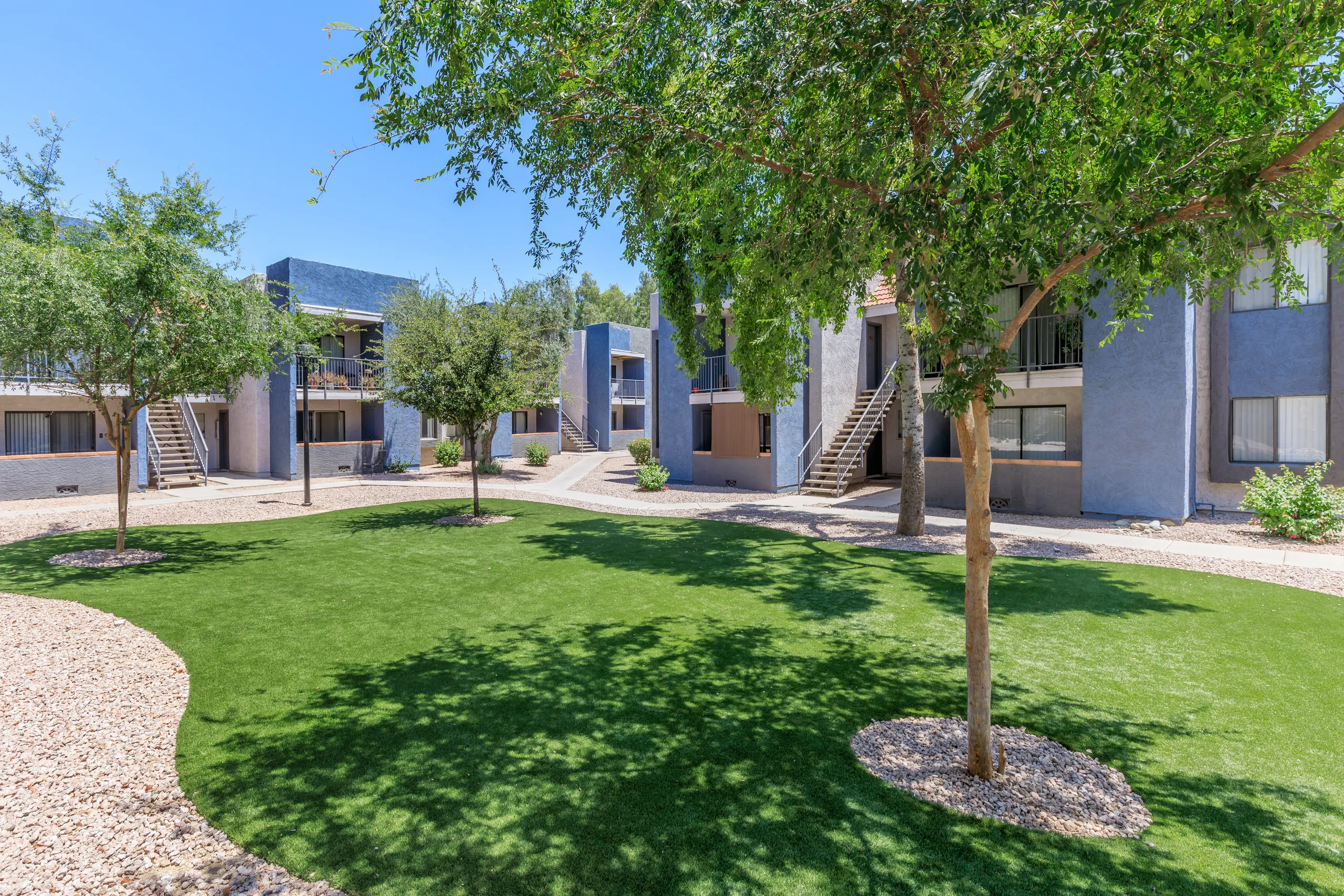 Landscaped courtyard with lawn and trees