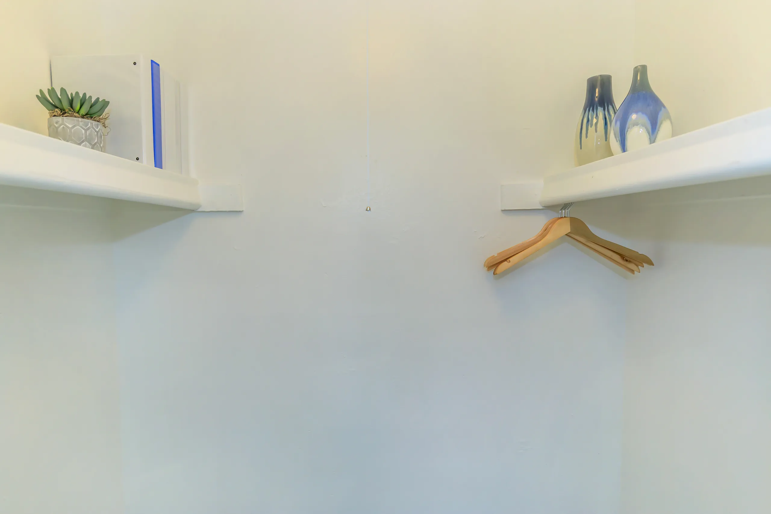 Closet with built-in shelving and hanging rod