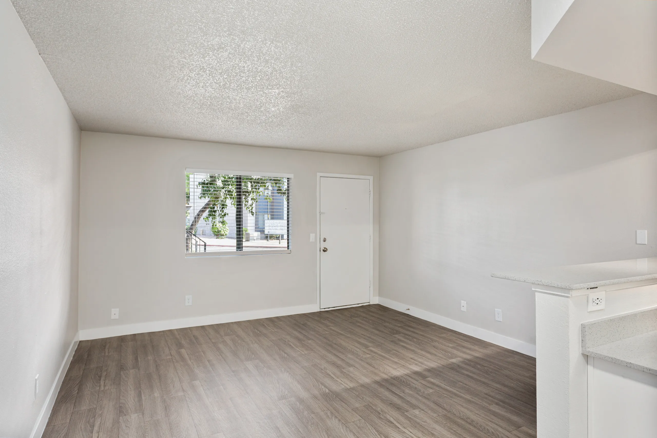 B2 Platinum floor plan living room with entry door and window